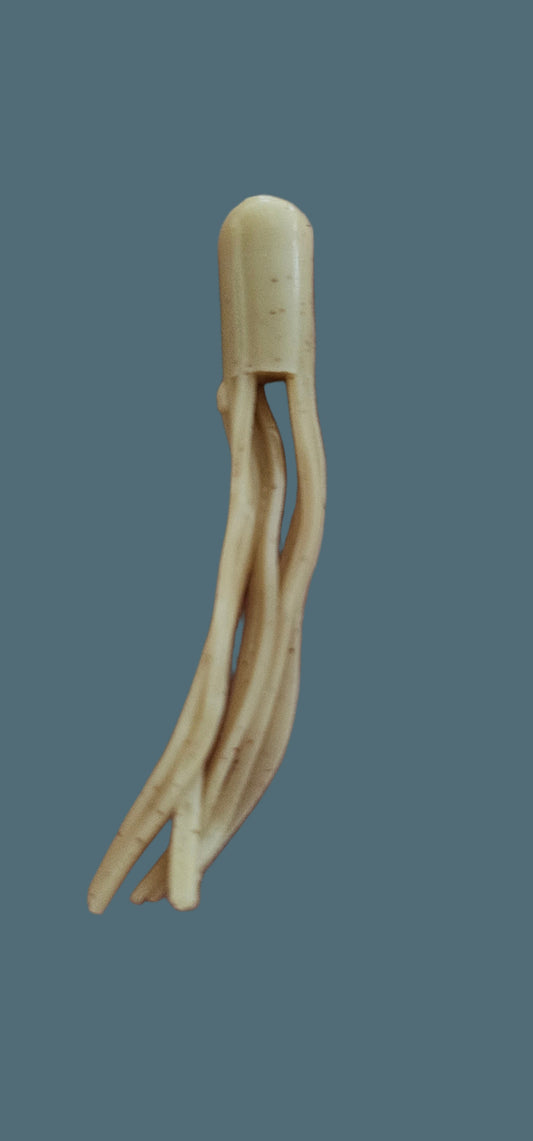 Kumbo Improved Soft Bait 2" Apricot Beige Tiny Tube 12 in a Pack