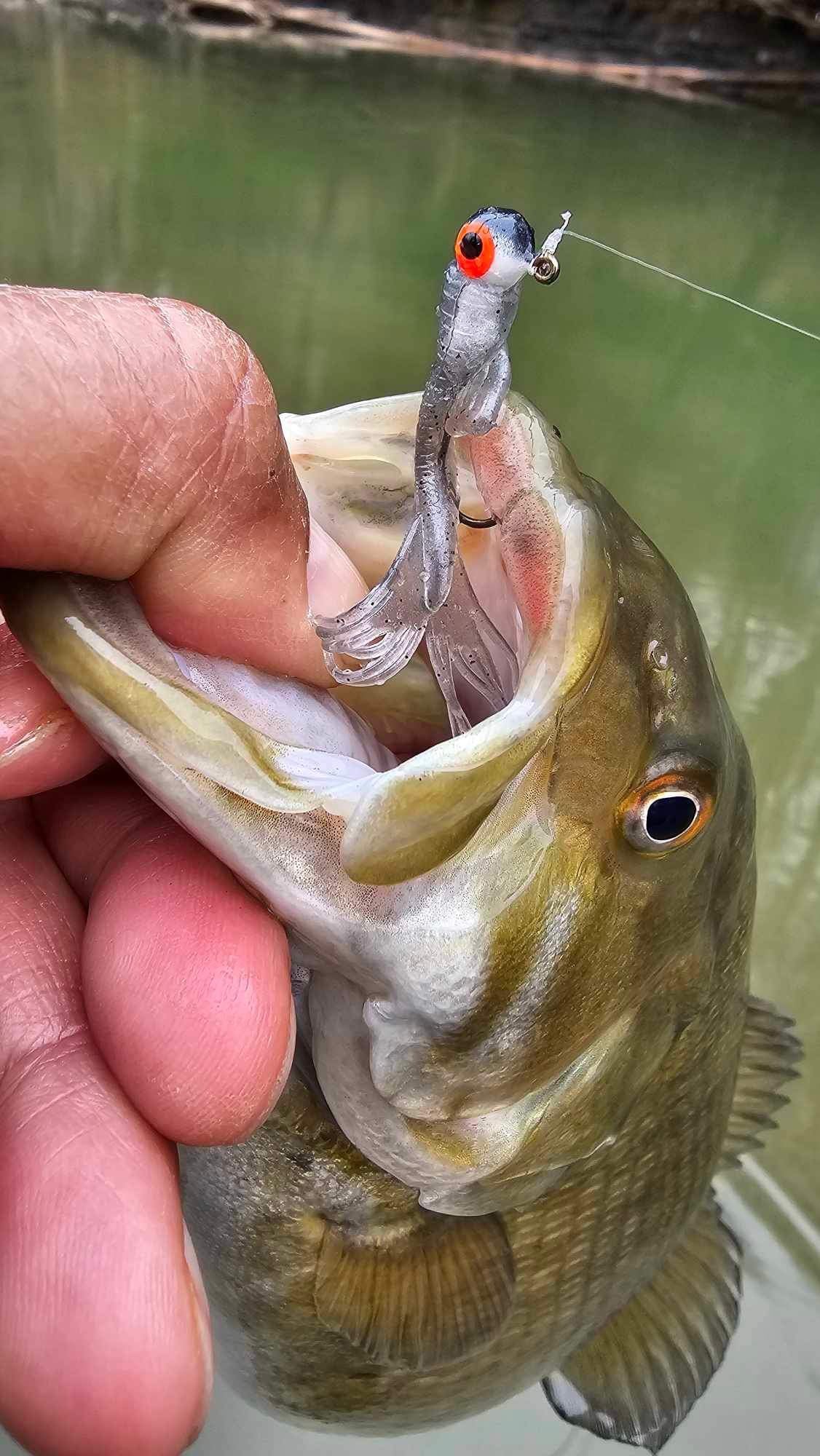 Kumbo Improved Soft Bait 2" Red Mermaid 12 in a Pack