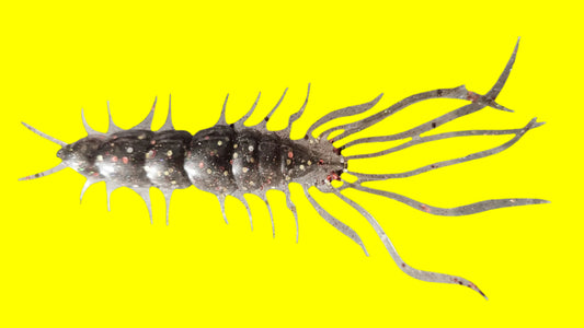 Kumbo Improved Soft Bait 5" Rose Gold Centipede 10 in a pack